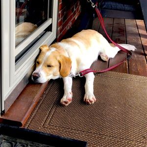 Meet your Posher, Stacey